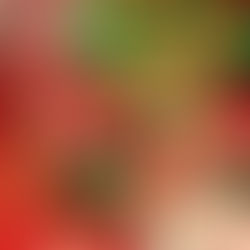 Sablés Gingerman by Chez Bogato