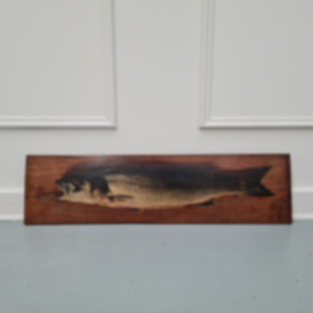 Antique Oil Painting of Fish c1900