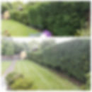 PhotoGrid_1465821160826