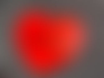 How to Read the Bible As a Beginner