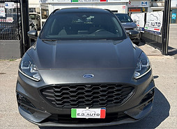 Ford nera front