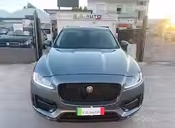 jaguar
