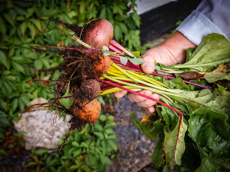 How Your Business Show Up Online in 2026 Matters (And Why Creating Content Isn’t Optional Anymore)