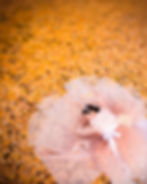 Couple posing on yellow leaves for snapinkorea photoshoot.