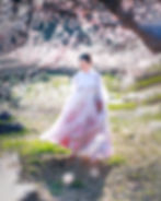 Woman in hanbok under cherry blossoms for snapinkorea