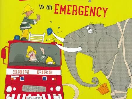 You Can't Call an Elephant in an Emergency