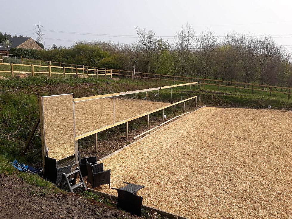 Thumbnail: Equestrian arena mirror mounted onto an existing structure to create a fixed training view, by Simply Arena Mirrors.