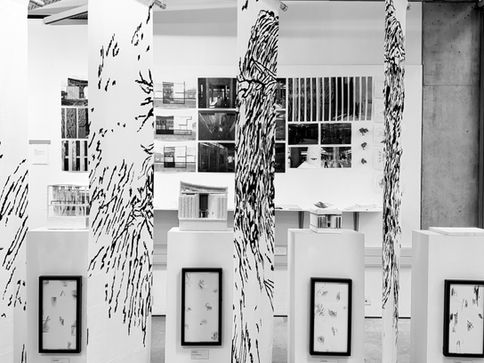 Final Presentation Exam Installation