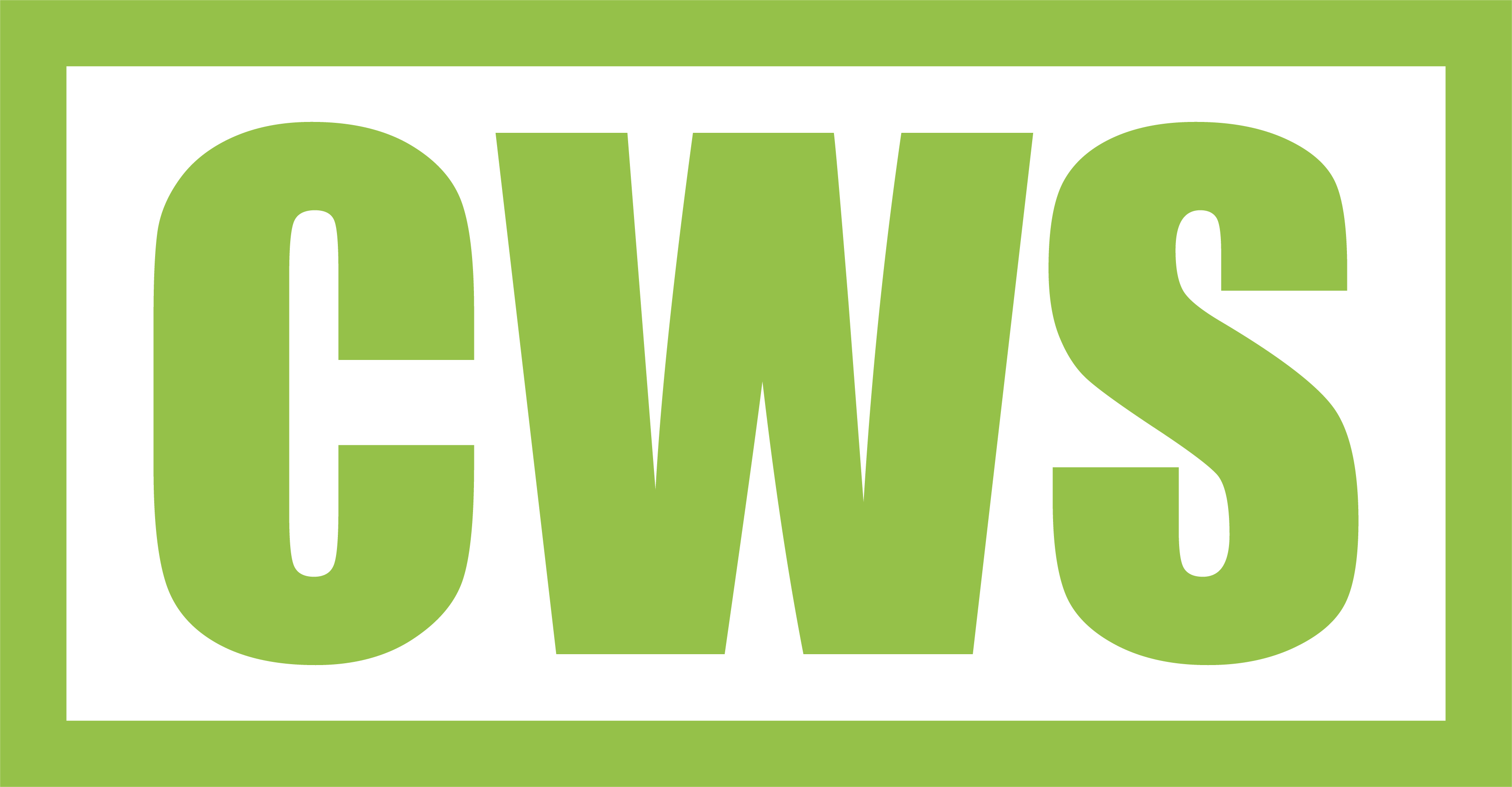 CWS Computer Work Solutions.png