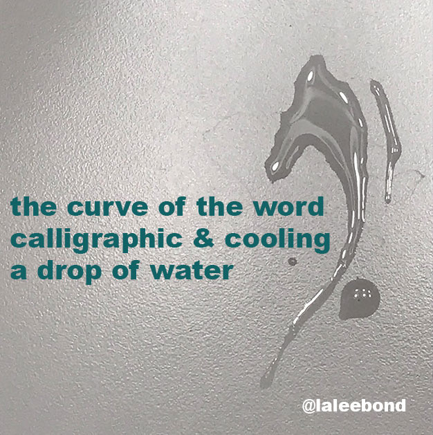 Seahorse-shaped water drop on white background with haiku: the curve of the word/ calligraphic & cooling/ a drop of water @laleebond