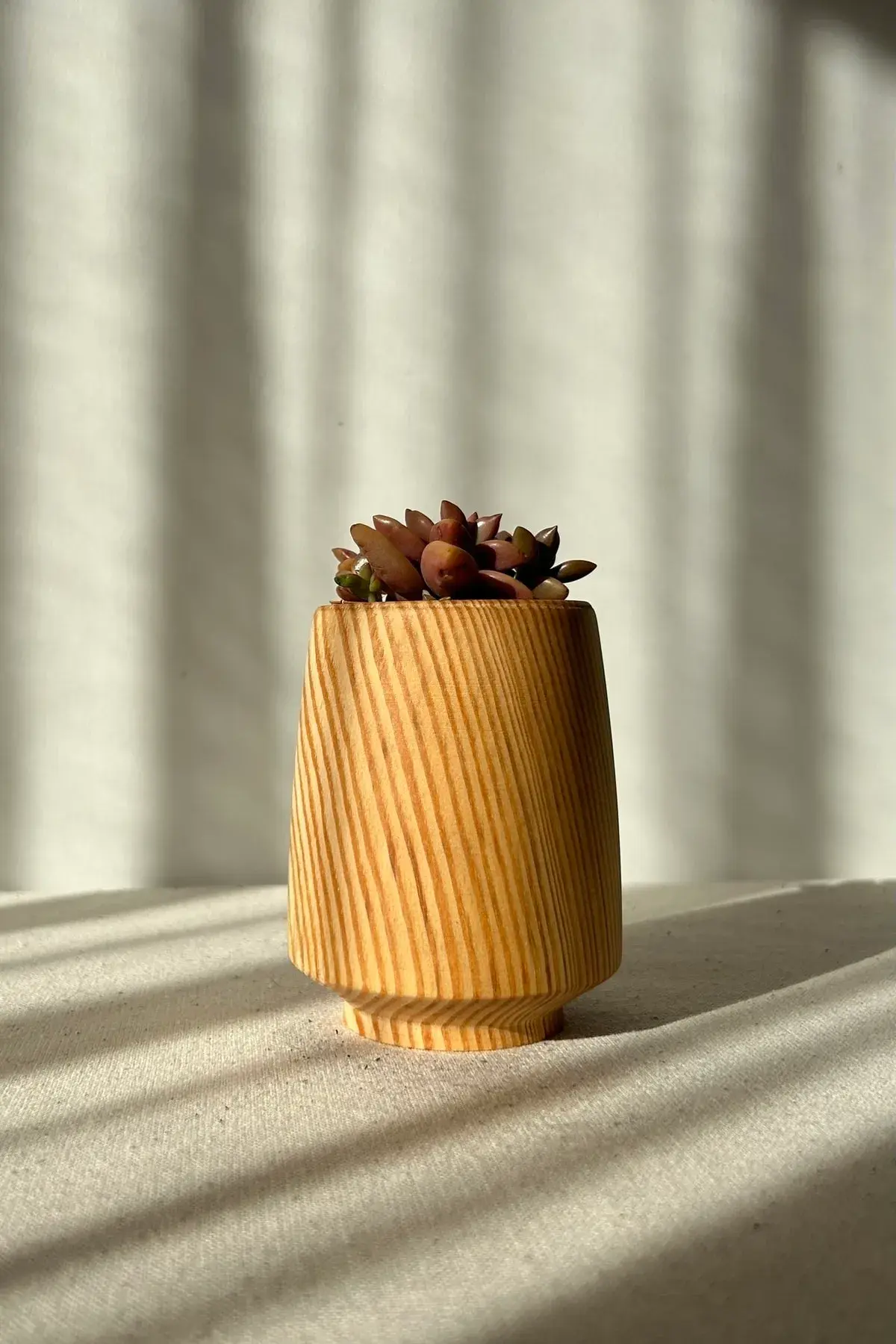 Ahşap Kaktüs, sukulent Saksısı