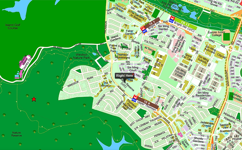 Thomson Reserve actual location on the street directory
