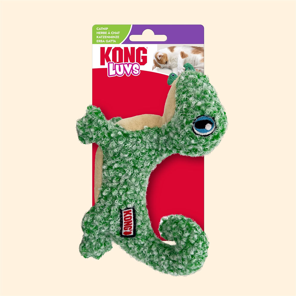 KONG Luvs Lizard