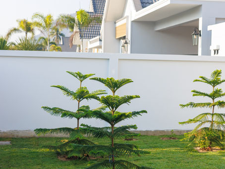 ทำไม “บ้านเดี่ยวชะอำ–หัวหิน” ถึงเป็นทางเลือกที่ฉลาดสำหรับการอยู่อาศัยและการลงทุน