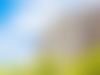 プロの技で「見えないところまで」きれいに