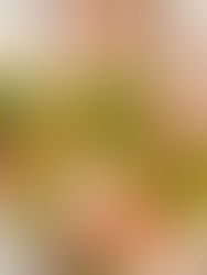 【当サロン8周年のご挨拶】