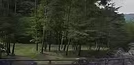 道志村農村公園.avif