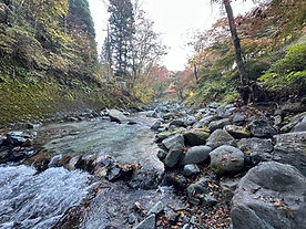 川の流れ.jpg