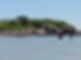 crossing.jpeg