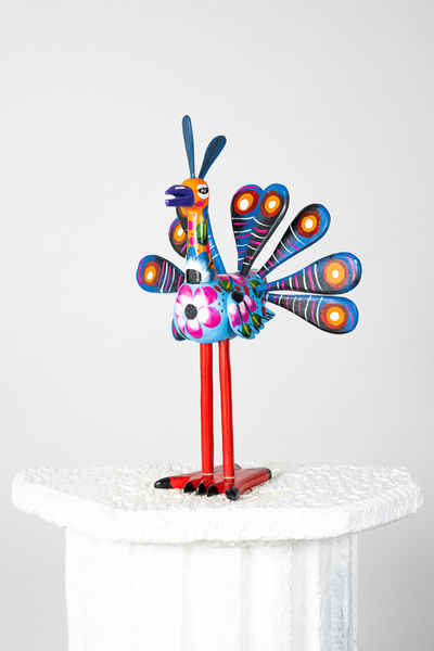 e-commerce product photography session