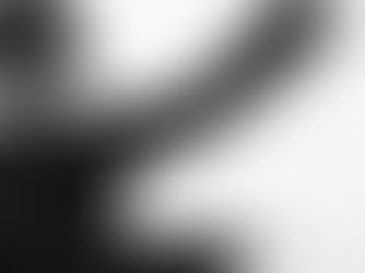 Mu- la pratica e il metodo