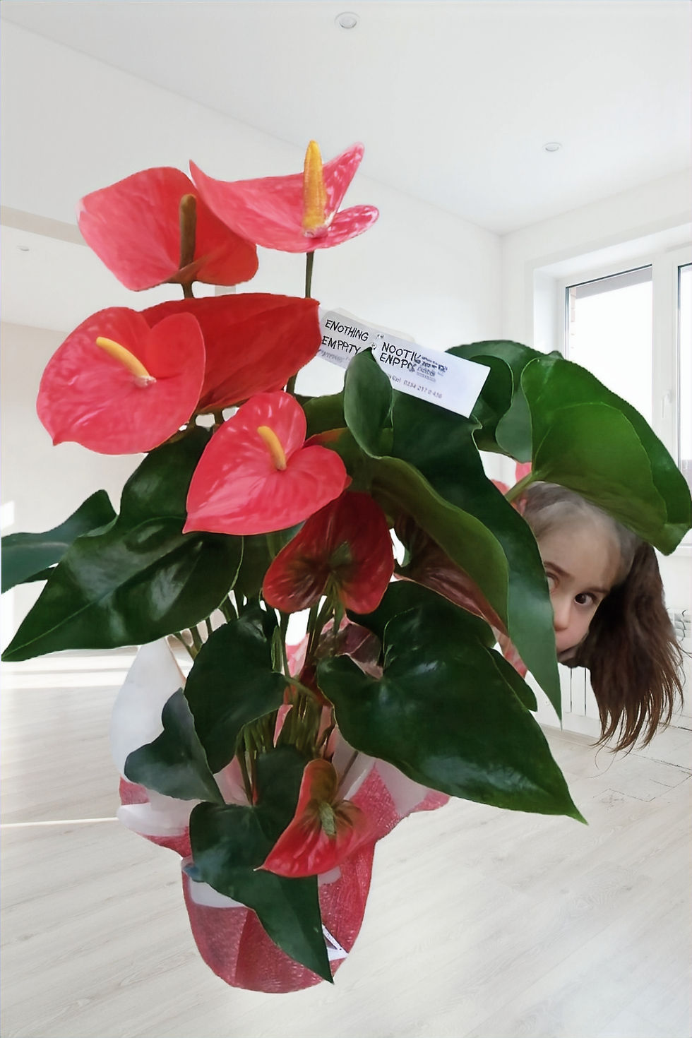 İthal Antoryum büyük boy