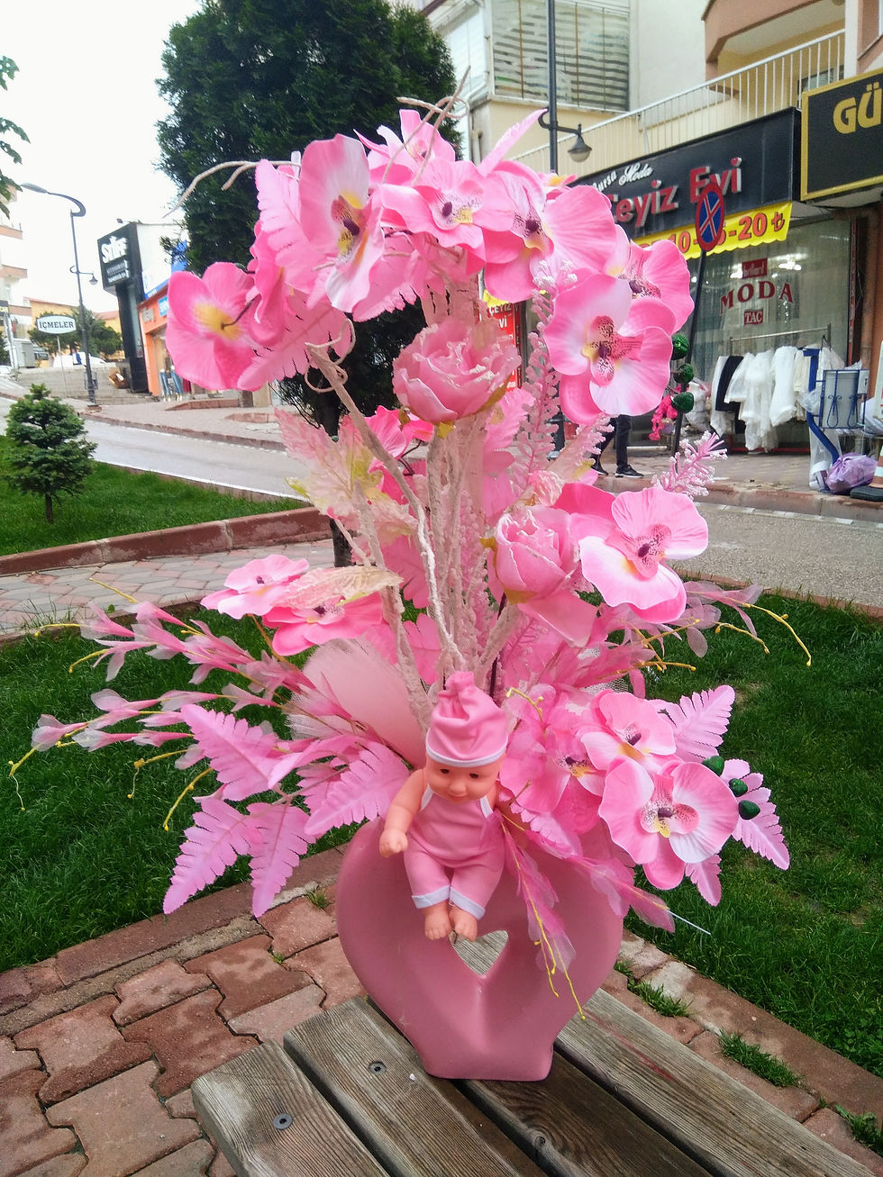 Büyük boy hoş geldin bebek çiçeği 