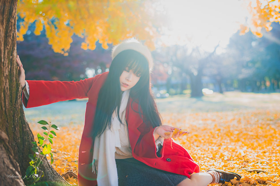 紅葉撮影
