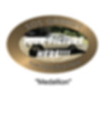 Thumbnail: "Medallion" - Men's Poly
