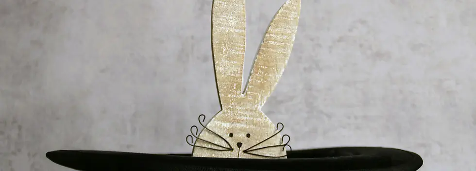 lapin sorti du chapeau.webp