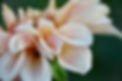 IMG_9843.jpeg