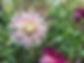 A0E93197-6294-4D20-B93E-294AEE9D2886.heic