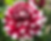 3B998570-4420-48B0-A32E-96CDDF23158B_1_201_a.heic