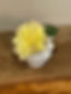 IMG_1260.jpeg
