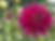 E1E73845-D135-45B7-B735-FAEB80CF3377.heic