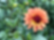 2D31D05E-B04C-47DA-903E-6AF27E49475A.heic
