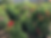 C8204D2B-1B2C-4C68-B79A-89D138F851B8.heic