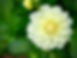 11F5AA6F-04BA-4760-8315-88B7DB17E46C_1_201_a.heic