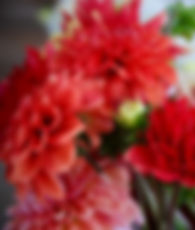 IMG_0397_edited.jpg