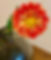 IMG_1217.jpeg