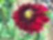 F163165B-8536-4282-9E6E-F0E355D5274E.heic