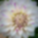 FD7FE468-3C5B-487C-B6FC-47B9DAEB83C5_1_201_a.heic