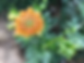C284F211-8B57-422C-B717-29F4A92A4F3C.heic