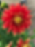 3439CDB5-B202-4CBD-BF64-6B4E1E830B78.heic