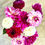 Thumbnail: Dahlia Bunch