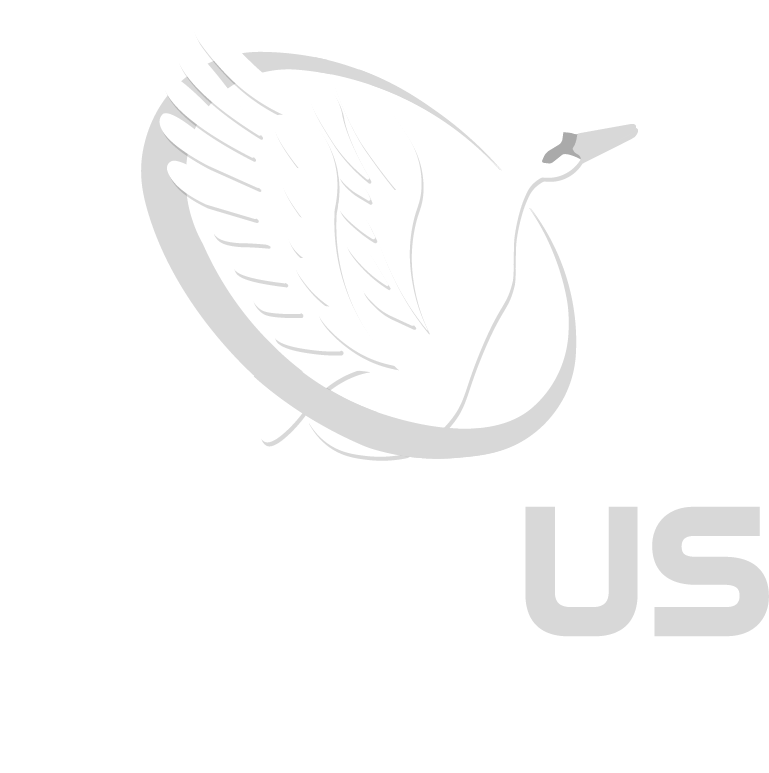 LOGO_CYGNUS_LOAN_WHITE 3
