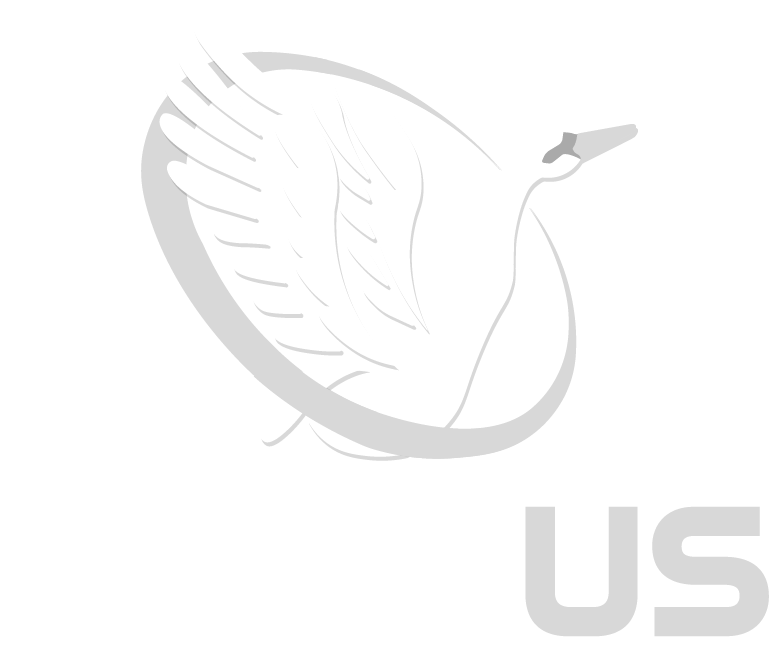 LOGO_CYGNUS_LOAN_BLANCO 4