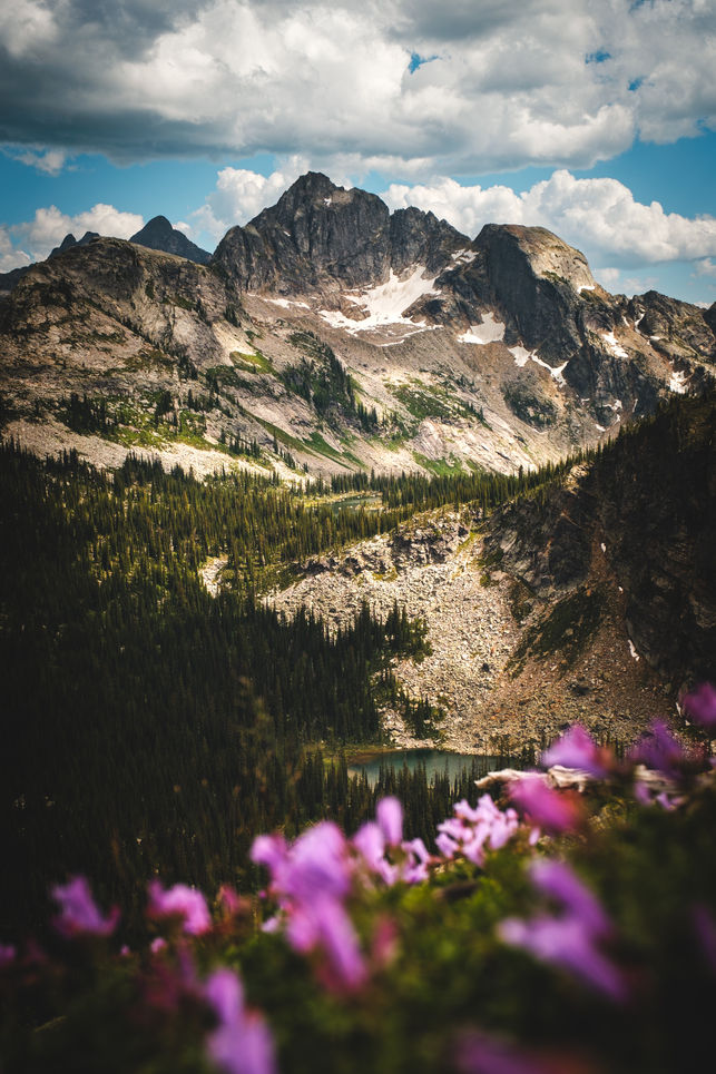 rocky peaks, emerald lakes, and vibrant summer wildflowers
