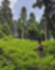 Explore with HikeWave