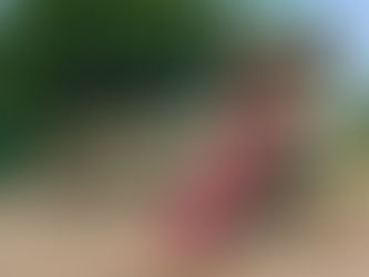 Again Street Park in line for a facelift